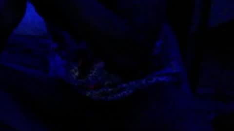 montydxxx2 online show from 17, 12, 2025