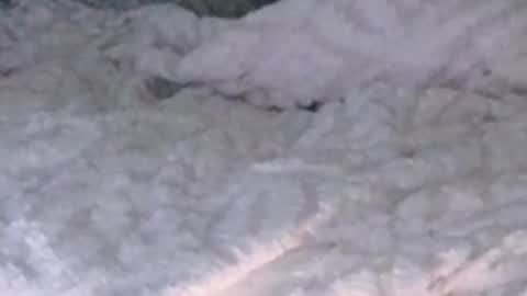 montydxxx2 online show from 5, 2, 2026