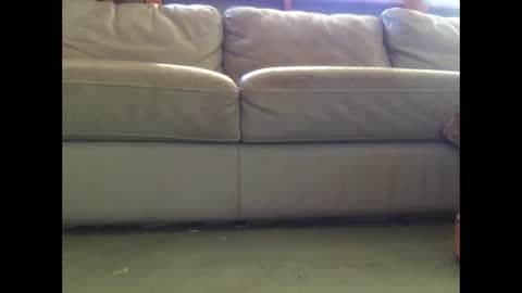 mookaite05 online show from 3, 3, 2025