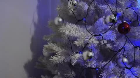 Snapshot of moona_one chatting on 8, 12, 2024 Mona online show from 8, 12, 2024