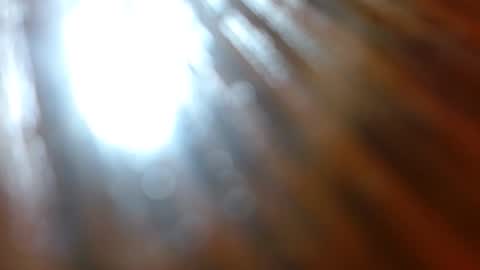 Tina online show from 27, 2, 2026