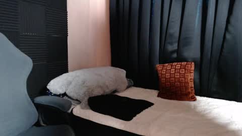 morenojake online show from 16, 4, 2026