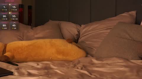 morphe online show from 20, 12, 2024