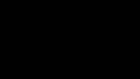 Snapshot of mospeleu chatting on 1, 3, 2025 Nomadu online show from 1, 3, 2025