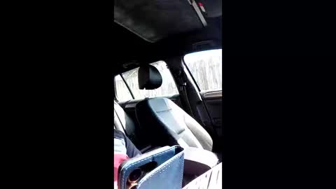 Snapshot of mospeleu chatting on 14, 3, 2026 Nomadu online show from 14, 3, 2026