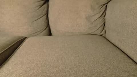 Snapshot of mr6ray chatting on 19, 1, 2026 mr6ray online show from 19, 1, 2026