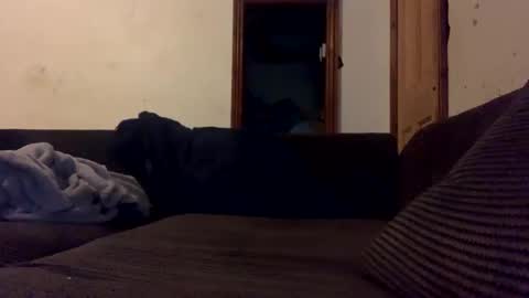 Snapshot of mr_big1983 chatting on 4, 12, 2024 mr_big1983 online show from 4, 12, 2024