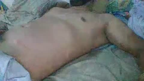 Snapshot of mrdongato01 chatting on 31, 12, 2024 Gato online show from 31, 12, 2024