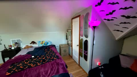 mrfanceypants online show from 17, 11, 2025