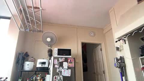 mriea_ online show from 17, 1, 2026