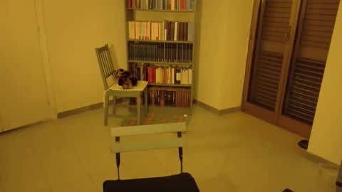 mrkurt86 online show from 21, 11, 2025