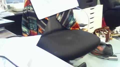 Snapshot of mroldred chatting on 23, 2, 2026 mroldred online show from 23, 2, 2026