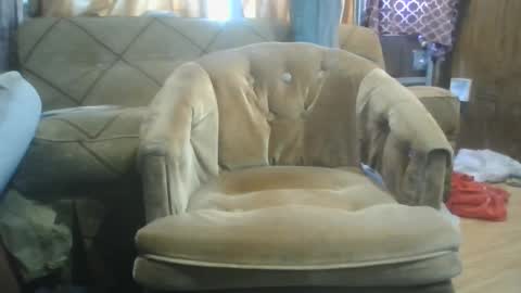 Snapshot of mrstergreen9 chatting on 5, 10, 2025 mrstergreen9 online show from 5, 10, 2025