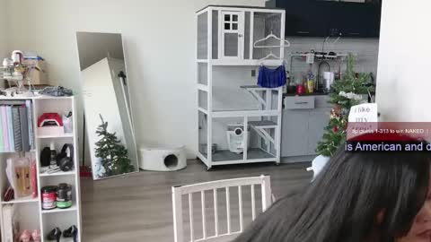 Snapshot of ms_mochii chatting on 1, 11, 2025 R o r i SnapChat heyroriv2 wednesday - sunday Noon oclock mountain - 5pm mountain online show from 1, 11, 2025