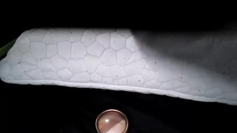 msmomy69 online show from 18, 11, 2025