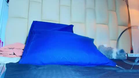 FERNANDA 3 online show from 14, 1, 2026