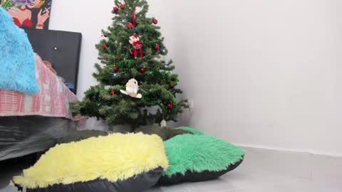 Snapshot of msschloee chatting on 11, 12, 2024 Chloe new account online show from 11, 12, 2024