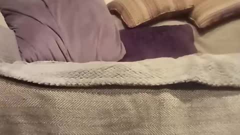 mtx9889 online show from 27, 10, 2025