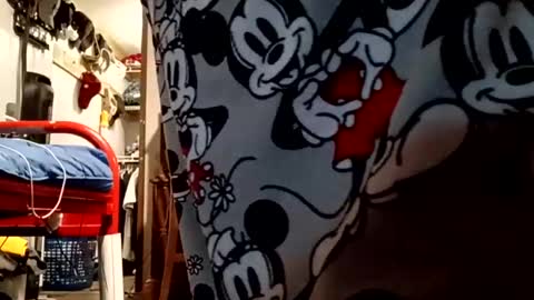 muddflapz online show from 6, 10, 2025