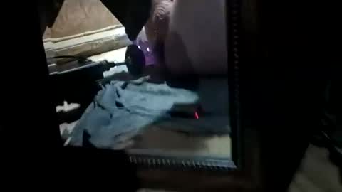 muddflapz online show from 7, 11, 2025