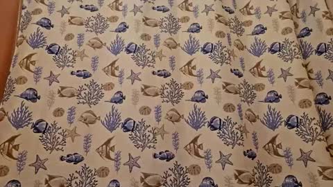 Muffdiver online show from 26, 3, 2026