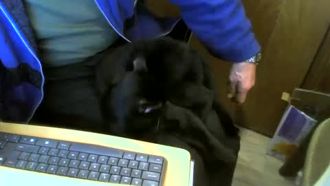 Snapshot of muller520 chatting on 11, 1, 2025 muller520 online show from 11, 1, 2025