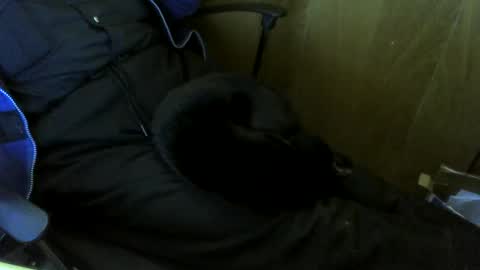 muller520 online show from 29, 10, 2025