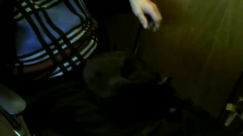 muller520 online show from 27, 3, 2026