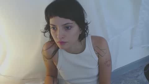   online show from 19, 11, 2025