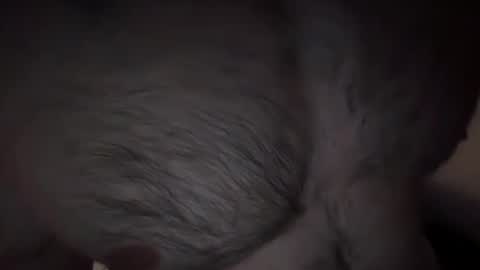 musclehair3 online show from 14, 2, 2025