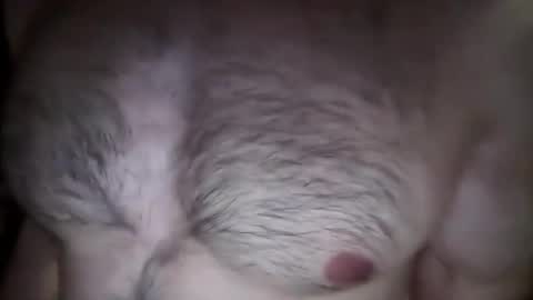 musclehair3 online show from 26, 2, 2025