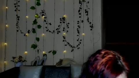 Jeneva online show from 24, 2, 2026