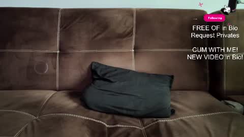mushroomcouch online show from 27, 6, 2026
