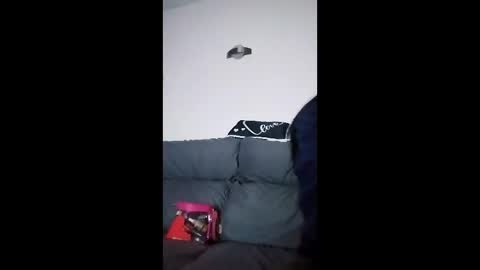 mweed95 online show from 4, 12, 2025