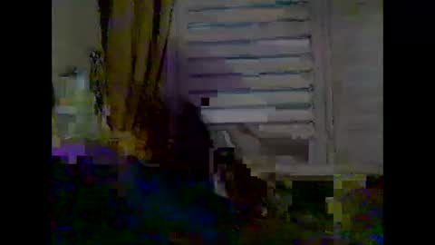 Snapshot of mycockissohard2021 chatting on 2, 5, 2026 mycockissohard2021 online show from 2, 5, 2026