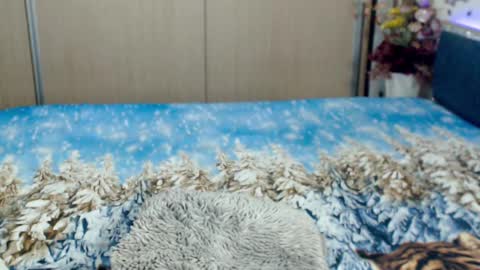 Snapshot of myrabelle24 chatting on 5, 3, 2025 Myrabelle24 online show from 5, 3, 2025