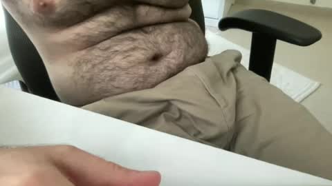 myStallion online show from 28, 6, 2026