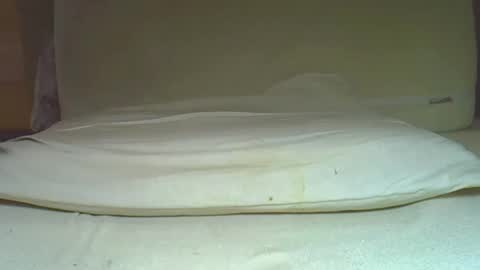 Snapshot of myxiao chatting on 7, 12, 2024 rudisuzzy online show from 7, 12, 2024