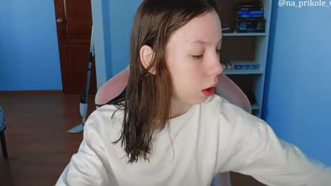 Snapshot of na_prikole_ chatting on 1, 4, 2026 Vanessa and Julia online show from 1, 4, 2026