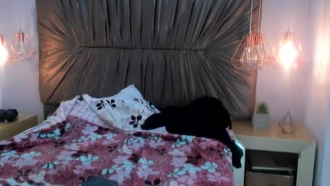 nai_blue online show from 7, 10, 2025