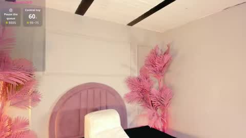 Snapshot of nalapalmer chatting on 17, 5, 2026 nalapalmer online show from 17, 5, 2026
