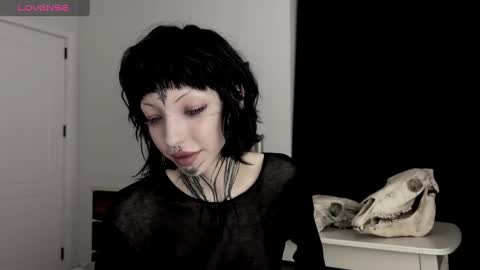 Nana online show from 28, 12, 2024