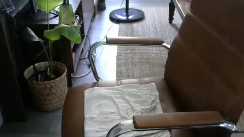 Snapshot of nareth338 chatting on 19, 9, 2025 nareth338 online show from 19, 9, 2025