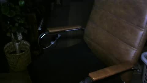 Snapshot of nareth338 chatting on 1, 4, 2026 nareth338 online show from 1, 4, 2026