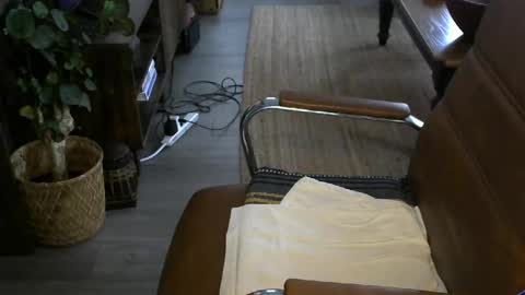 Snapshot of nareth338 chatting on 8, 4, 2026 nareth338 online show from 8, 4, 2026