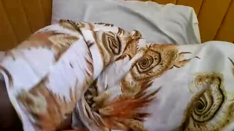 Sweet Ella online show from 9, 10, 2025