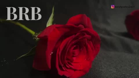 Naty online show from 8, 3, 2025