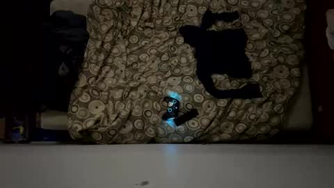 naughty6toy online show from 17, 2, 2026