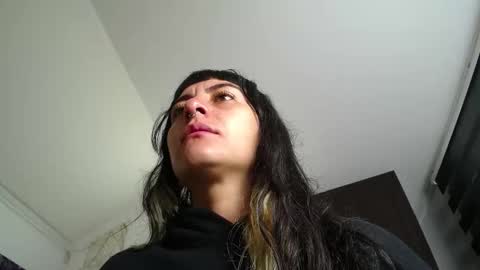 Kitten online show from 17, 12, 2025