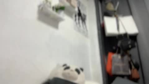 your girlfriend mira online show from 2, 4, 2026